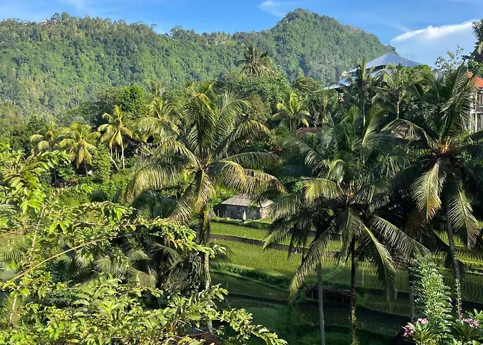 Surya Shanti 4*