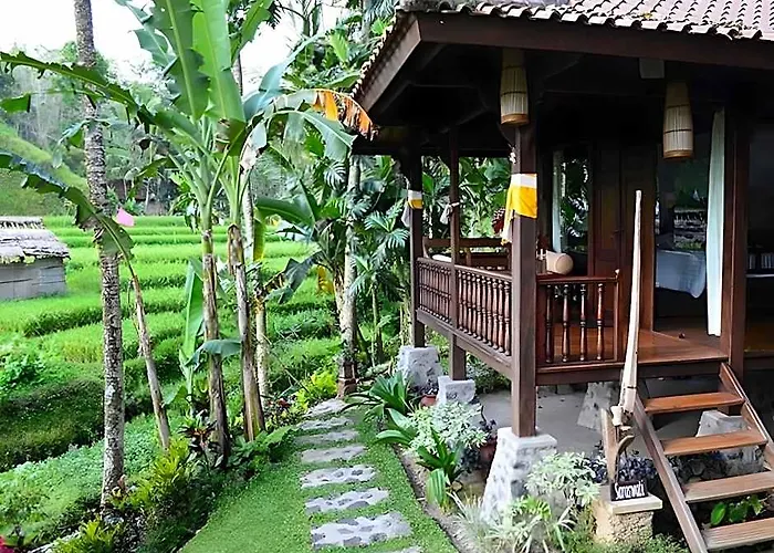 Surya Shanti 4*