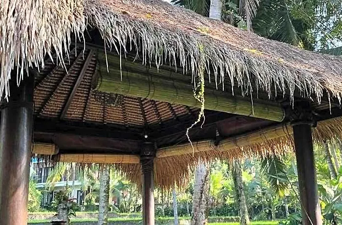 Surya Shanti
