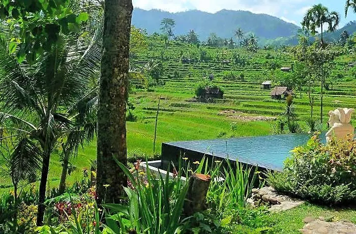 Surya Shanti 4*